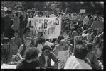 Christopher Street Liberation Day, 1970