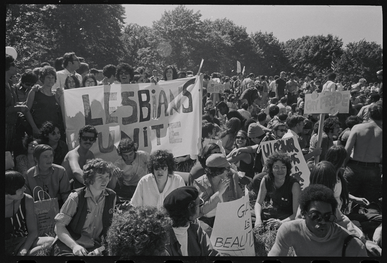 gathering in Central Park