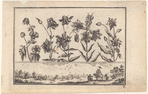 Untitled [Flowers, with a birding scene in a landscape frieze below (plate 2)]