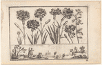 Untitled [Flowers (carnations), with a couples and a distant castle in a landscape frieze below (plate 3)]