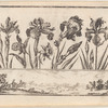 Untitled [Flowers, with mounted horsemen in a landscape frieze below (plate 4)]
