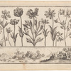 Untitled [Flowers, with seated couples in a landscape frieze below]
