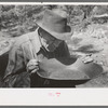 Prospector blowing on pan of fine dirt which contains particles of gold in order to blow the dirt away and leave the heavy gold. In this dry panning the pan is rotated until the dirt is on one side and then with a decisive toss it is thrown into the air,