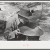 Prospector blowing on pan of fine dirt which contains particles of gold in order to blow the dirt away and leave the heavy gold. In this dry panning the pan is rotated until the dirt is on one side and then with a decisive toss it is thrown into the air,