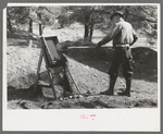 Prospector throwing a shovel of gold bearing dirt into the papago, Pinos Altos, New Mexico