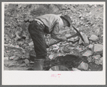 Gold prospector working his diggings, Pinos Altos, New Mexico