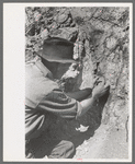 Prospector taking a sample of dirt from creek bed which contains scattered gold, Pinos Altos, New Mexico