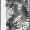 Prospector taking a sample of dirt from creek bed which contains scattered gold, Pinos Altos, New Mexico