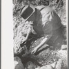 Prospector taking a sample of dirt from creek bed which contains scattered gold, Pinos Altos, New Mexico