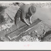 Prospector working the sluice box, Pinos Altos, New Mexico