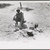 Faro Caudill making coffee for dinner the day he moved his dugout, Pie Town, New Mexico