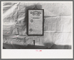 Marriage license hanging on homesteader's wall, Pie Town, New Mexico