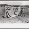 Faro Caudill putting up tent in which his family will live while dugout is being rebuilt nearer well, Pie Town, New Mexico