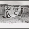 Faro Caudill putting up tent in which his family will live while dugout is being rebuilt nearer well, Pie Town, New Mexico