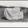 Faro Caudill putting up tent in which his family will live while dugout is being rebuilt nearer well, Pie Town, New Mexico