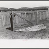 Faro Caudill putting up the center support of his tent, Pie Town, New Mexico