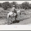 Homesteader returning home from trip to town, Pie Town, New Mexico