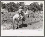 Homesteader returning home from trip to town, Pie Town, New Mexico