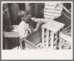 Mr. Keele examining oranges before buying them from trucker, General store, Pie Town, New Mexico