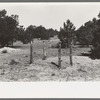 Grave in mountain cemetery, Pie Town, New Mexico