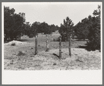 Grave in mountain cemetery, Pie Town, New Mexico