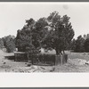 Grave in mountain cemetery, Pie Town, New Mexico