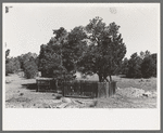 Grave in mountain cemetery, Pie Town, New Mexico