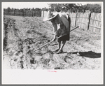 Doris Caudill working in her garden, Pie Town, New Mexico