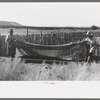 Faro and Doris Caudill covering up frame garden; large garden is in the background, Pie Town, New Mexico