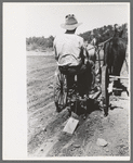 Faro Caudill planting beans. The block of wood dragging after the planter is a homemade contrivance for smoothing out soil after seeds have been planted, Pie Town, New Mexico