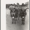 Mr. Leatherman and his children and his burro-drawn cart. The man talking to Mr. Leatherman is a tie cutting contractor and wants Leatherman to use his burros to drag ties down from the mountains. Leatherman refused because while he could use the cash
