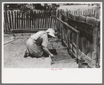 Mrs. Hutton works in her seedbed, Pie Town, New Mexico