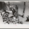 Young Hutton feeds clabbered milk to the chickens, Pie Town, New Mexico