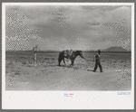 Cowboy with Spanish cowpony, Pie Town, New Mexico