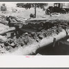 John Adams pulling out pinon pole from dugout roof. This picture should give a good idea of the construction of the roof of a dugout, Pie Town, New Mexico