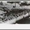 John Adams pulling out pinon pole from dugout roof. This picture should give a good idea of the construction of the roof of a dugout, Pie Town, New Mexico