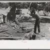 Farmer chopping wood, Pie Town, New Mexico