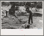 Farmer chopping wood, Pie Town, New Mexico