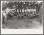 Group of farmers, homesteaders, and their families visiting all day Sunday to celebrate a birthday, Pie Town, New Mexico