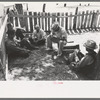 Homesteaders sit under the trees at all day Sunday visiting, Pie Town, New Mexico