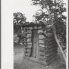 Log privy on hemesteader's farm, Pie Town, New Mexico
