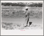 Water witch walks in the direction that stick heads him, Pie Town, New Mexico