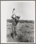 Faro Caudill grubbing out rabbit brush, Pie Town, New Mexico