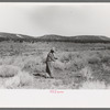 Water witch following forded stick in search for water, Pie Town, New Mexico