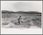 Water witch following forded stick in search for water, Pie Town, New Mexico