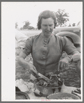 Mrs. Leatherman, homesteader from West Texas taking up chicken and dressing at dinner during the all day community sing, Pie Town, New Mexico