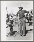 Cowboy at rodeo, Quemado, New Mexico