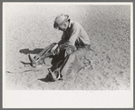 Cowboy testing stirrups at rodeo before broncbusting, Quemado, New Mexico