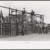 Cowboy around corral at rodeo, Quemado, New Mexico