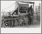 Judges stand at rodeo, Quemado, New Mexico